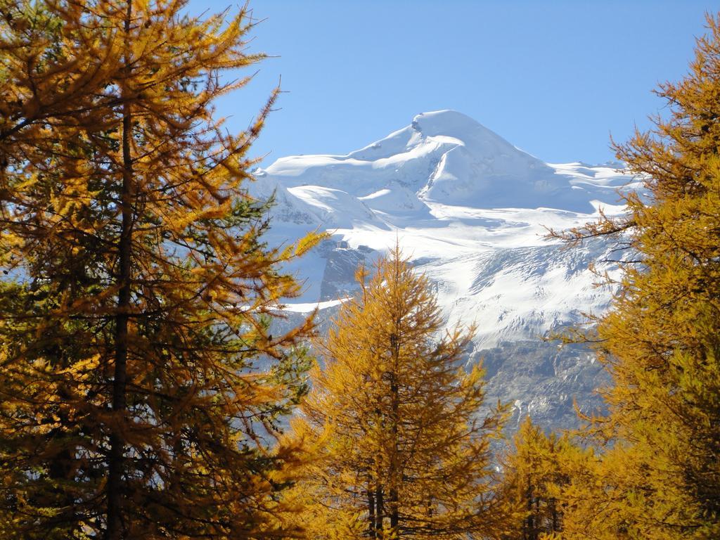 Haus Holiday Saas-Fee Phòng bức ảnh