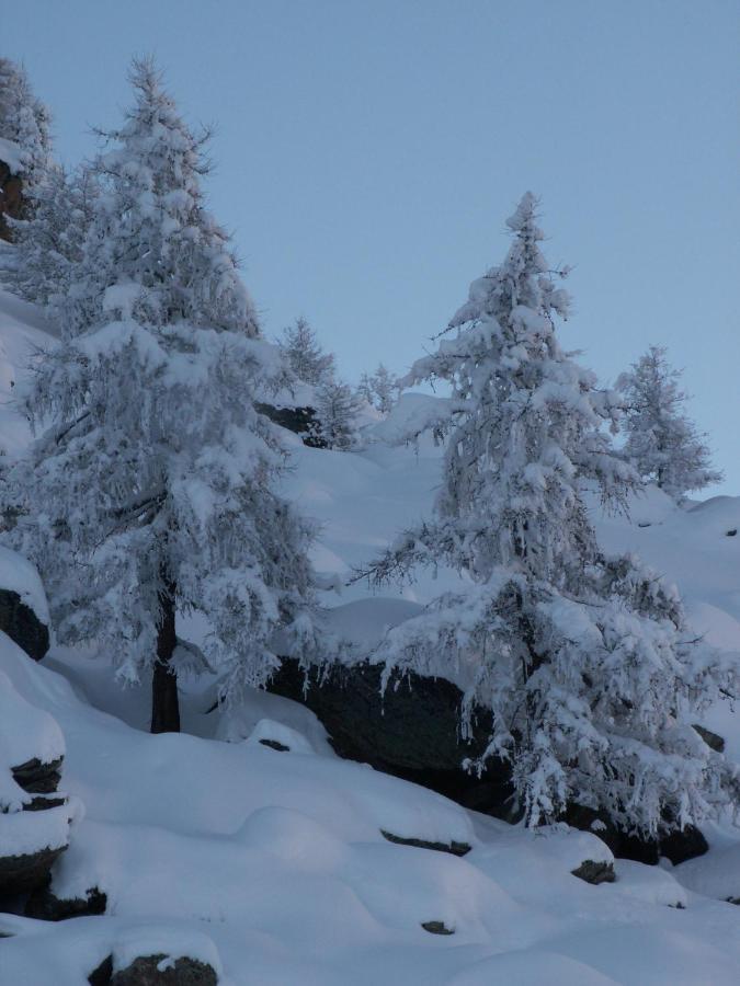 Haus Holiday Saas-Fee Ngoại thất bức ảnh